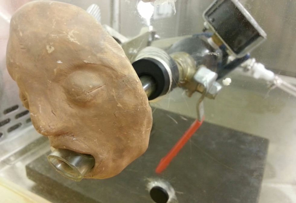 Scientists Use an Actual Barf Machine in Study That Reveals a Disgusting Thing About a Type of Food Poisoning