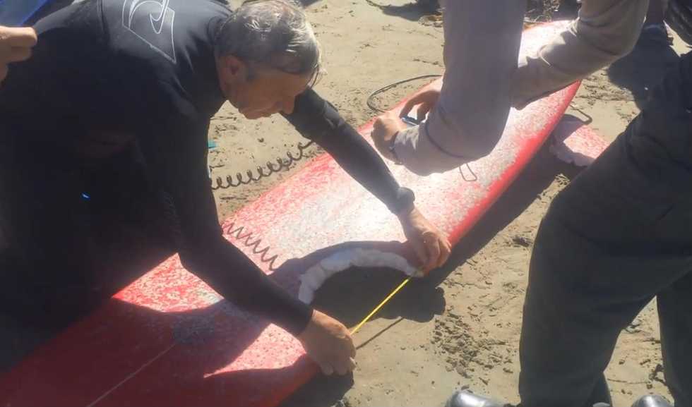 Surfer Uninjured After Coming Within Striking Distance of Shark – Here's What She Says the 'Worst Part' Is