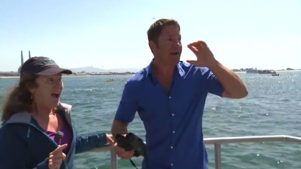 Presenter Abruptly Ends Live Interview After Spotting ‘One of the Most Extraordinary Things I’ve Ever Seen’