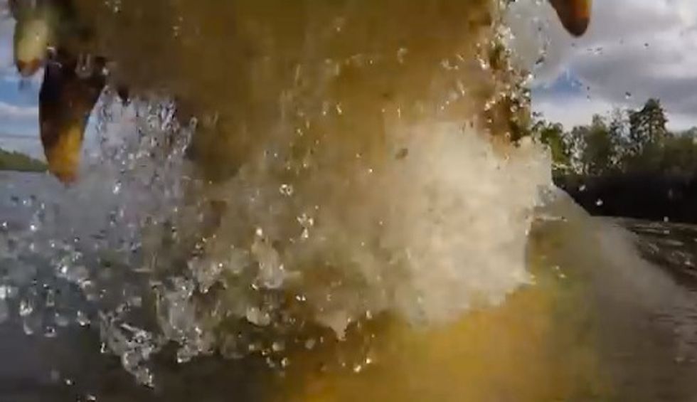 Here's the 'Dinner's-Eye View' Video as a Saltwater Croc Unleashes Its Record-Setting Bite Force on a Camera