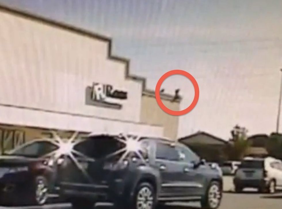 19-Year-Old Stands on Edge of Strip Mall Roof, Reportedly Threatening to Jump. Then a Cop Shows Up.