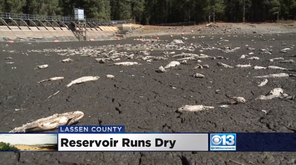 Residents Perplexed After Calif. Lake Mysteriously Goes Dry Overnight Leaving Thousands of Fish Dead