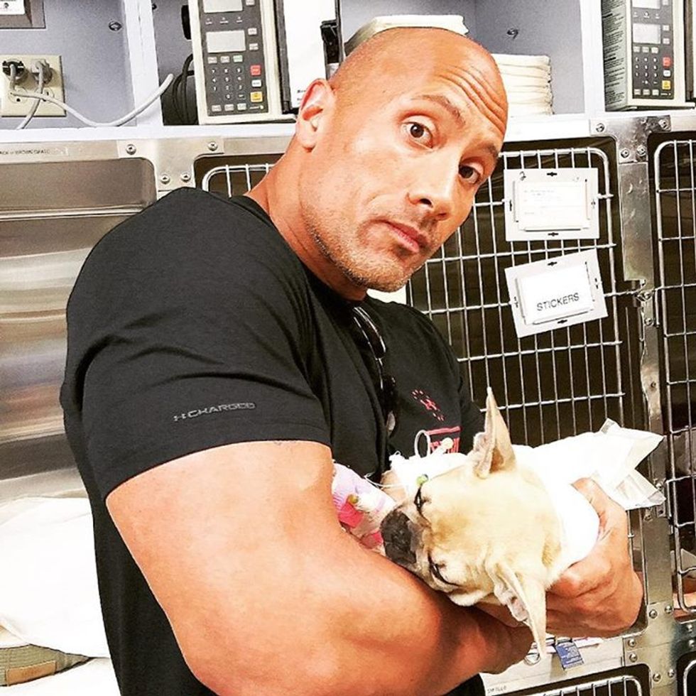 The Rock Issues Urgent Warning to Dog Owners After He's Forced to Make ‘Painful Decision’ to Put Down His Puppy