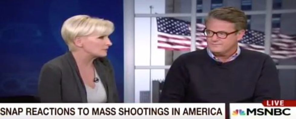 Liberal MSNBC Co-Host Compares ‘Massively Powerful’ Guns to Elephants as She Makes Case for Stricter Gun Control