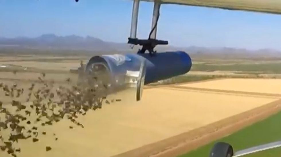 It Might Look Like This Drone Is Carrying a Torpedo but It’s Really an Experiment From the Department of Agriculture