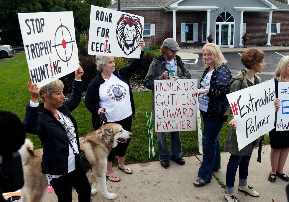 Zimbabwe Drops Case Against Dentist Who Killed Cecil the Lion