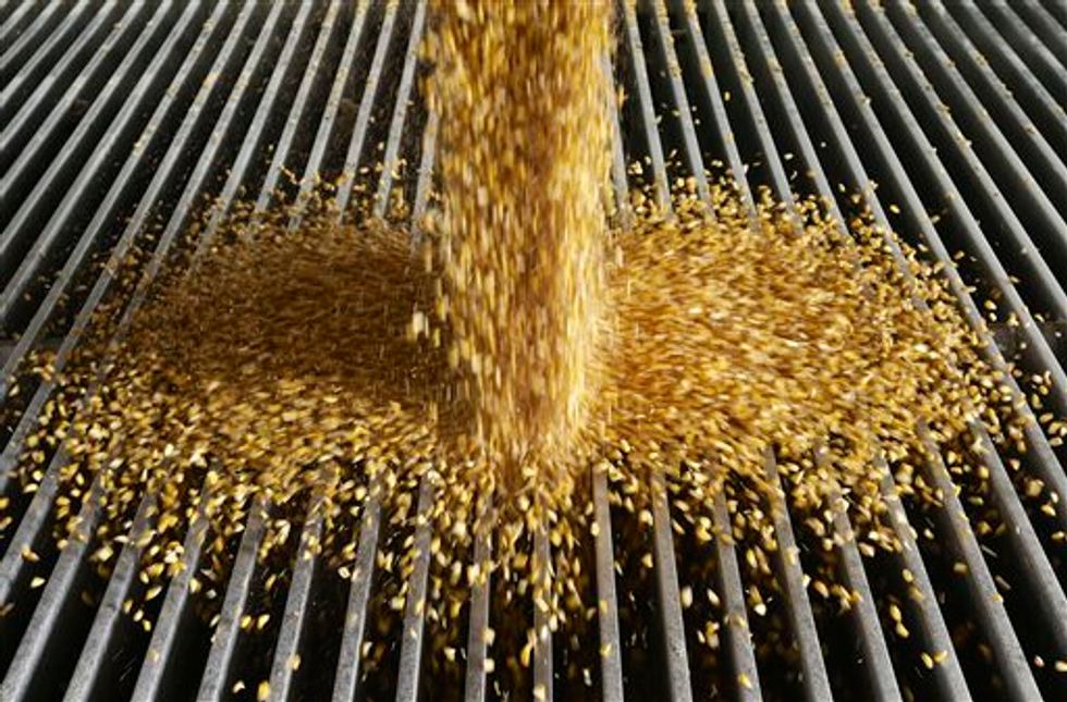 Could Cruz Win in Iowa Despite His Opposition to the Sacred Cow of Ethanol?