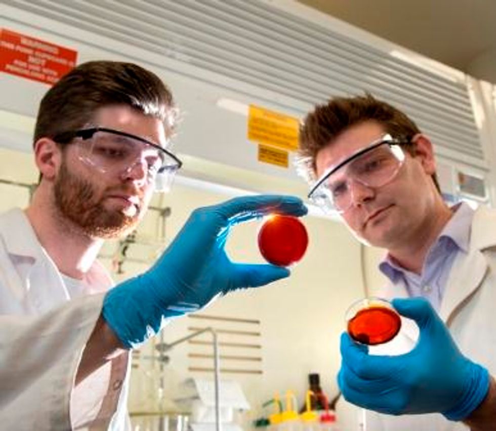 Scientists Accidentally Create a Material to Remove This Contaminant From the Ocean With Something That ‘Literally Grows on Trees’