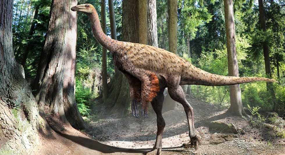 Undergrad Student’s Dinosaur Fossil Discovery Holds Rare, Preserved Feature That Experts Are Calling 'Pretty Remarkable\