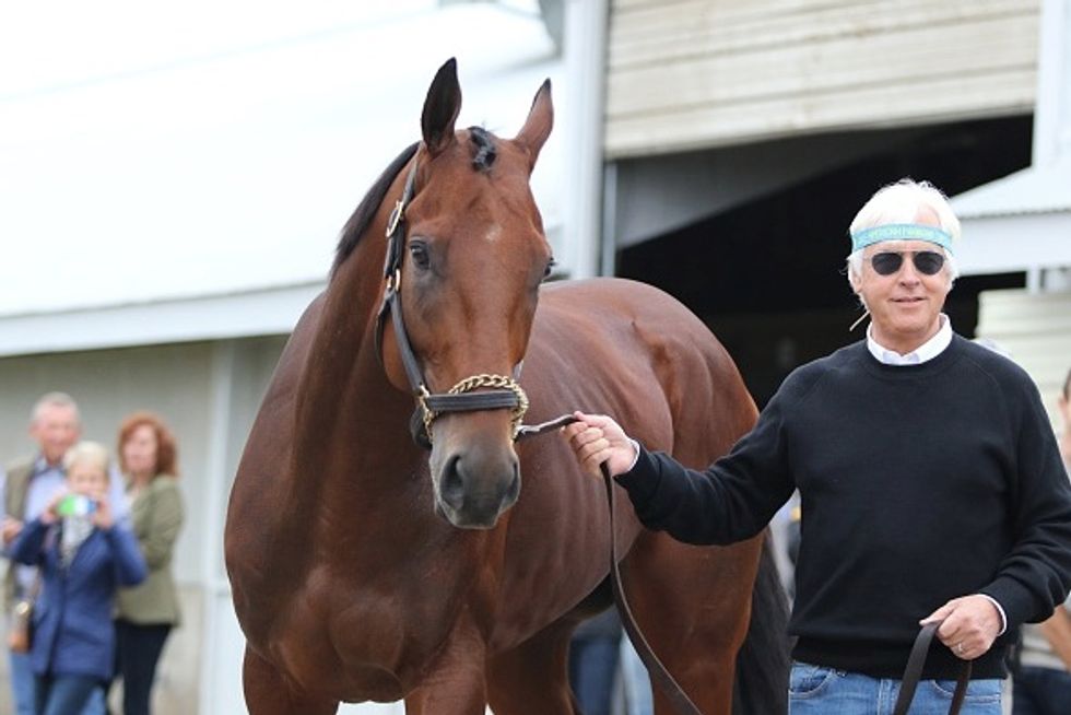 Triple Crown Champ American Pharoah Has Been Put Out to Stud — and His Fee Ain't Cheap