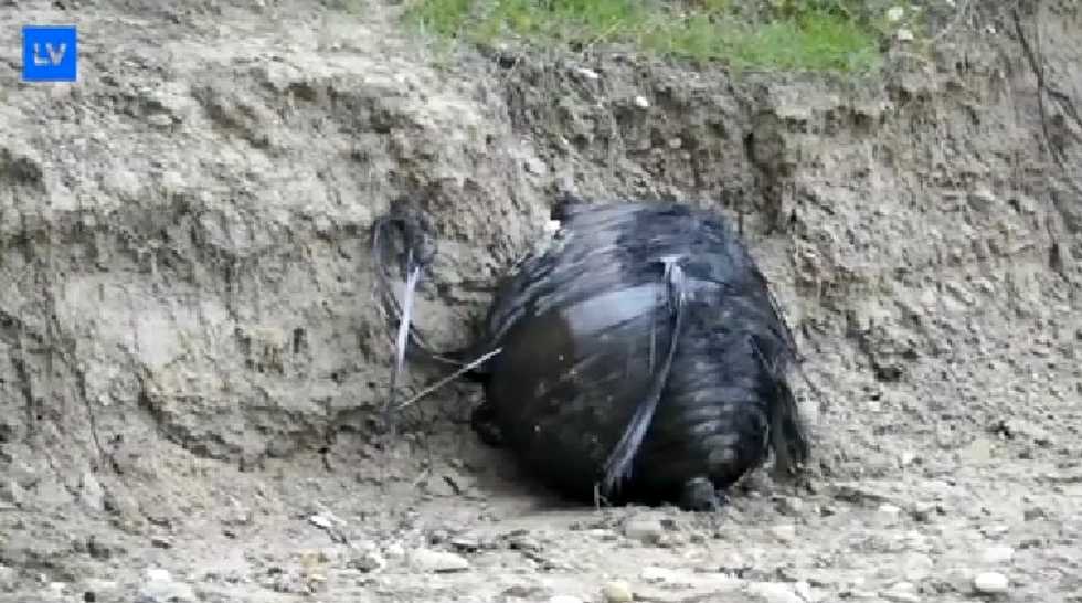 Unidentified Black Spheres Show Up in Fields on Three Different Times in Recent Weeks: 'It Is a More Serious Issue than It Seems