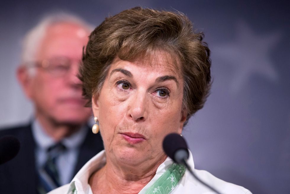 Democratic Rep. Says Paris Terrorist Attacks Should Motivate Stricter Laws in America — but Not About Dealing With Terrorism