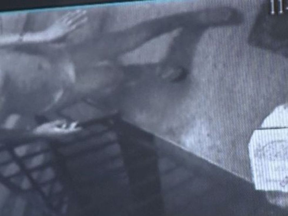 ‘Working, Middle Class’ Family Sets Up a Surveillance System — Watch It Come in Handy as Holiday Season Nears