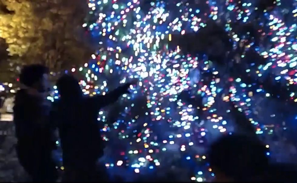 Chicago Protesters Caught on Video Vandalizing City Holiday Display: 'F*** Your Christmas Tree!
