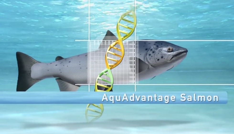 2016 'Food Trends' Predictions: Unlabeled Genetically-Modified Salmon, Dye-Free Foods and Smaller Supermarkets