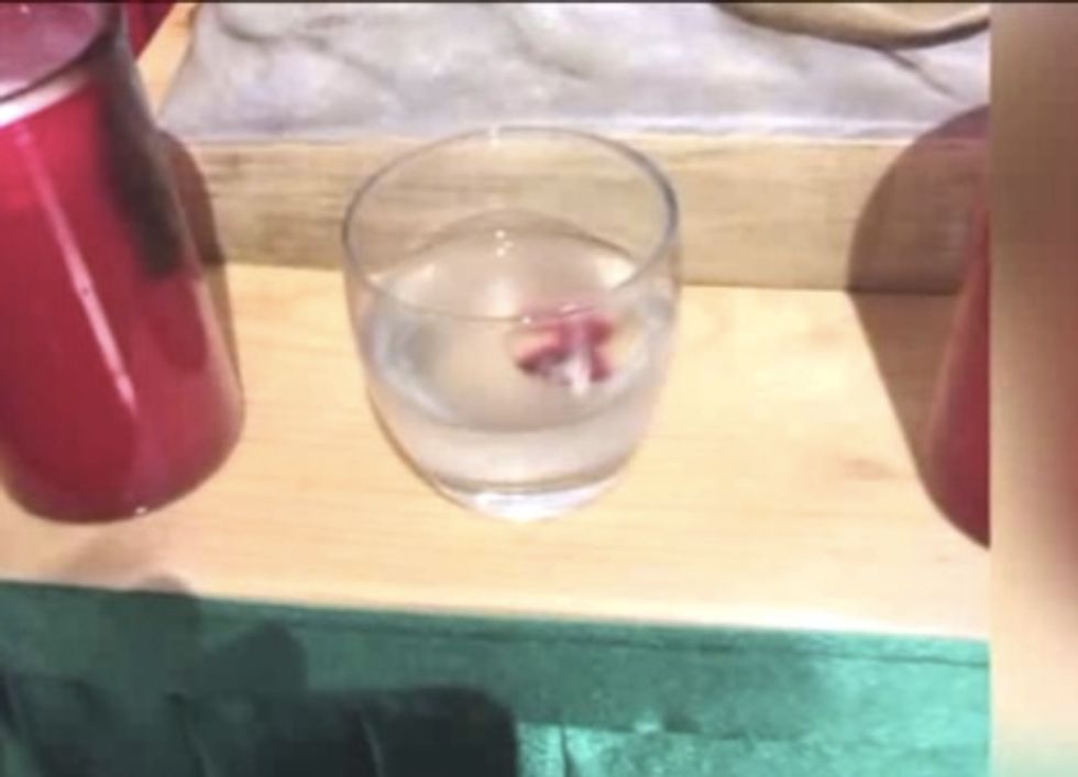What Happened After a Priest Put This Communion Wafer In a Glass of Water Is Being Called a Miracle — and Now the Salt Lake City Diocese is Investigating