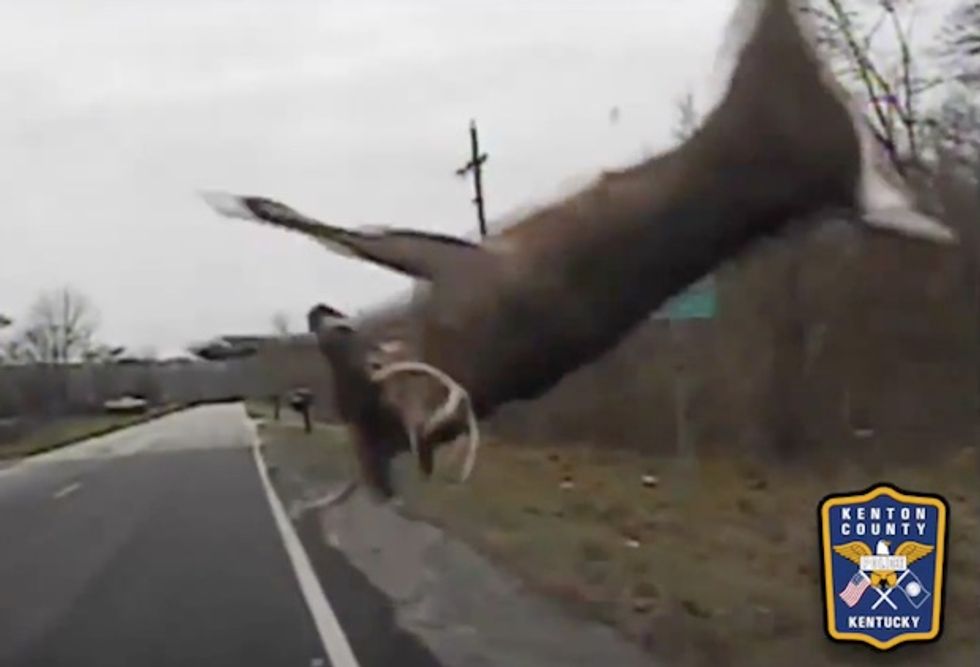Police Cruiser Dash Cam Captures Wild Collision With a Deer