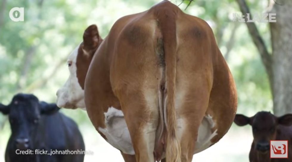 Liberals say the darndest things — climate change edition