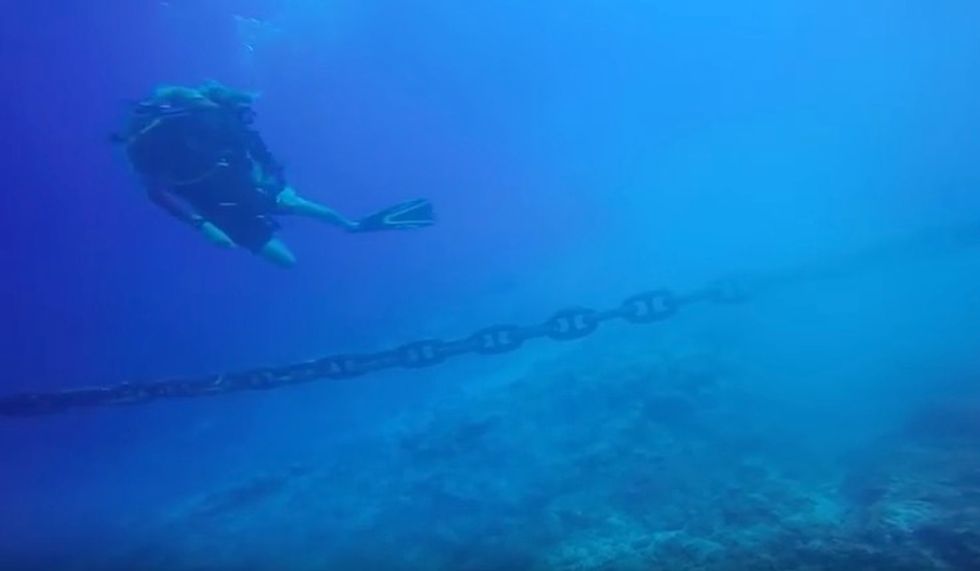 Scuba Divers Were Swimming Off Grand Cayman When They 'Noticed' Something They Couldn't Ignore