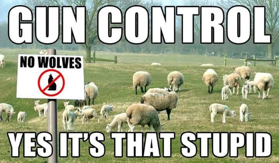 What's it Like in Liberal Fantasy Land?