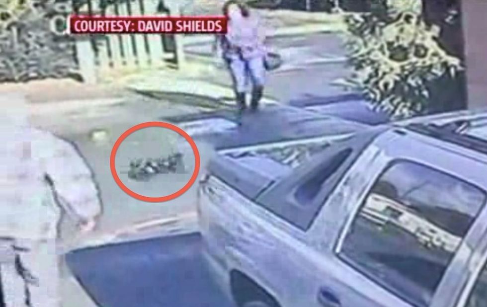 Disturbing Surveillance Video Shows Woman Throwing Small Dog to the Pavement During an Argument — and Police Say She's Now in 'Hiding\