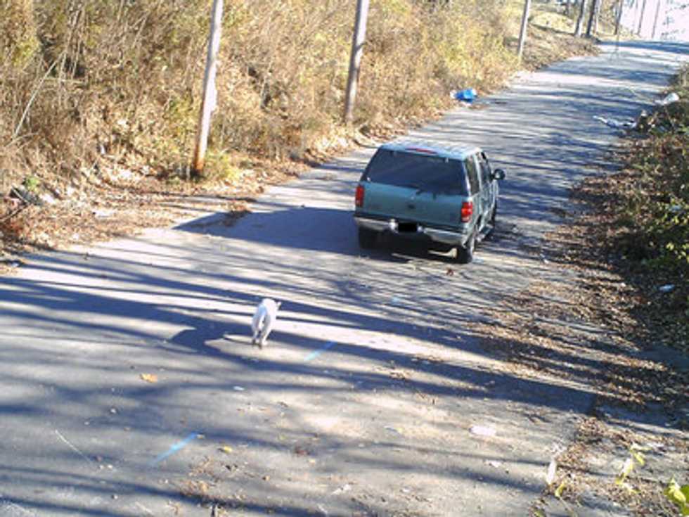 Man Abandons 3-Year-Old Dog at City Dump — He Likely Didn’t Know He Was Being Recorded