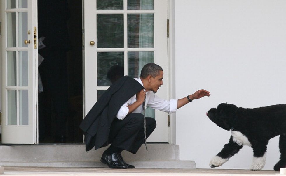 Man Allegedly Plotted to Dognap Obama Family Dog; Told Secret Service He's Jesus — and That's Not All