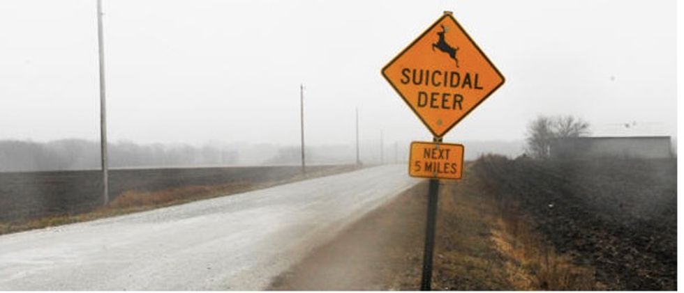 Suicidal Deer' Sign in Small Illinois Town Warns Drivers Amidst Bizarre Epidemic: 33 Vehicle-Deer Collisions in One Year