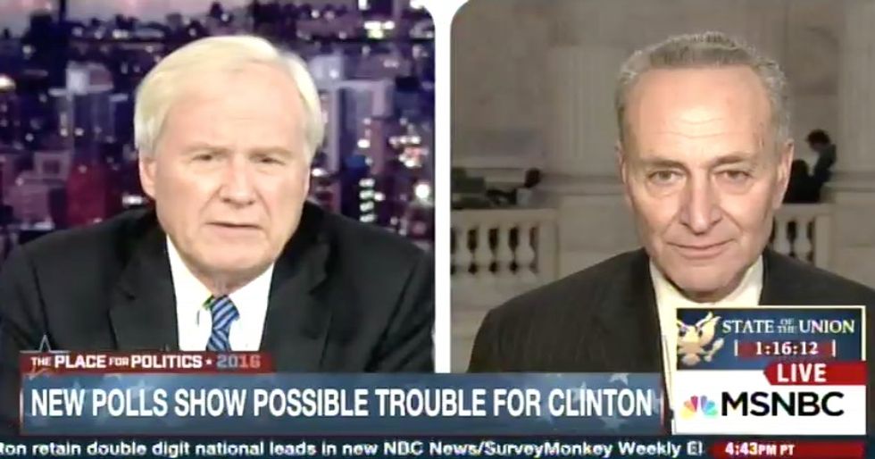 What's the Difference Between a Socialist and a Democrat?': MSNBC Host Relentlessly Grills Schumer