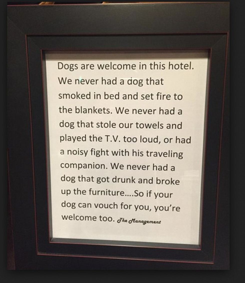 This Hotel Wants You to Know You Are A Welcome Guest...if 'Your Dog Can Vouch for You