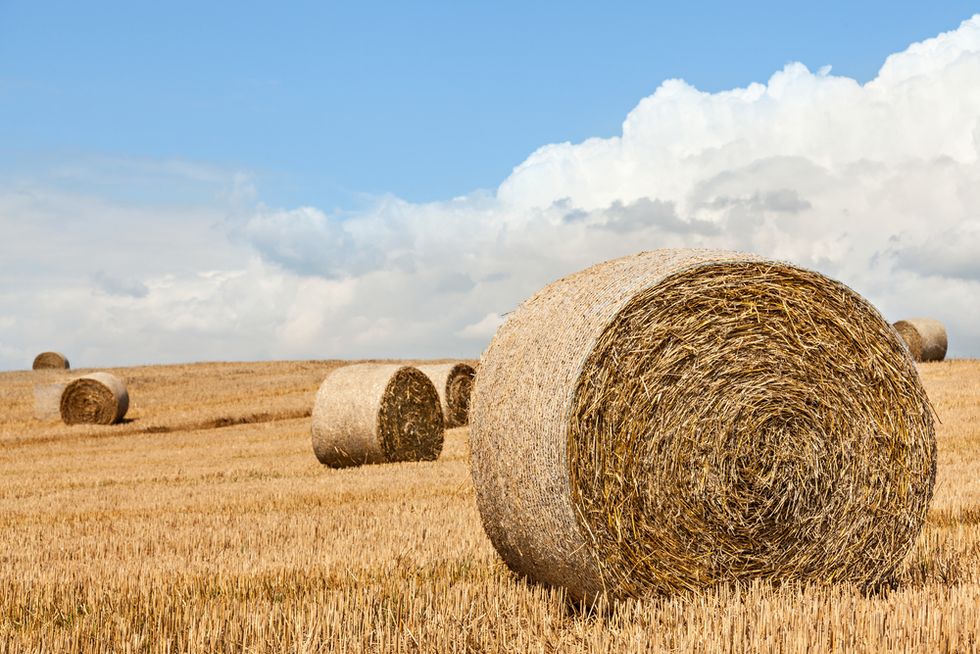 11-Year-Old Boy Crushed to Death by 1,200-Pound Hay Bale
