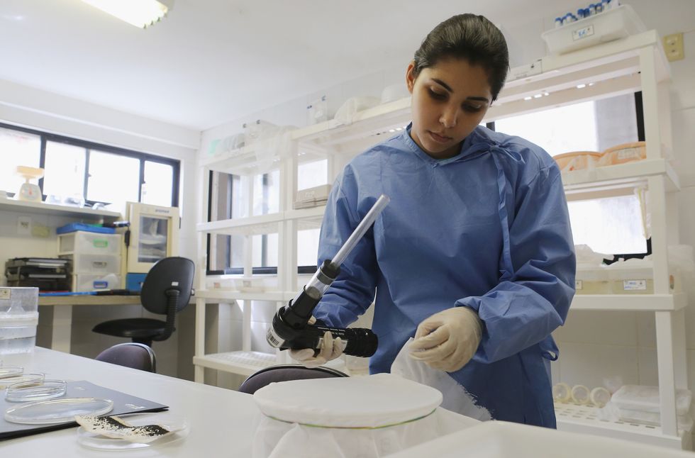 Health Officials Do Not Believe the Zika Virus Will Be a Major Problem in the U.S.