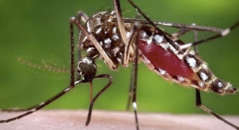 Pennsylvania College Confirms Student Has Tested Positive for Zika Virus