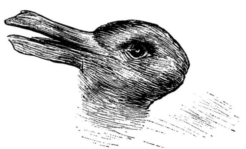 Do You See a Rabbit or Duck in This 124-Year-Old Image? Here’s What Your Answer Says About You