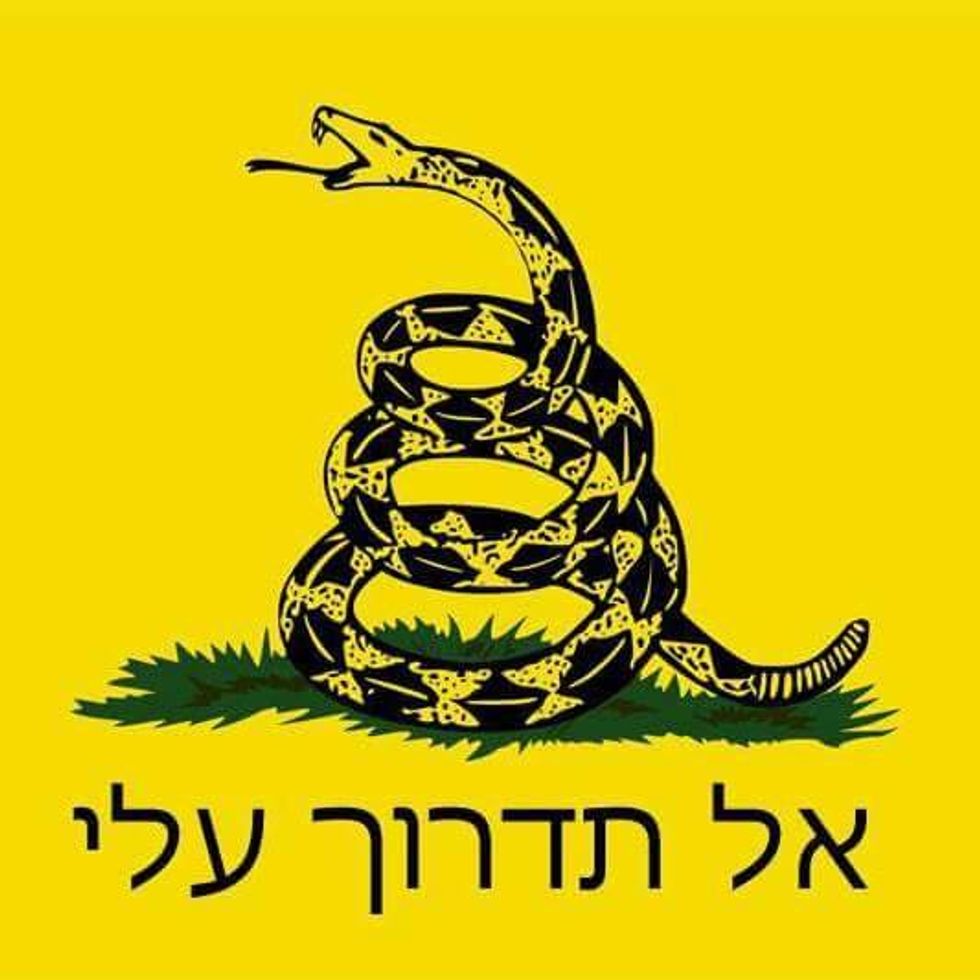Ted Nugent Posts This Modified ‘Don’t Tread on Me’ Flag and Apologizes After Offending Jewish Gun-Rights Activists