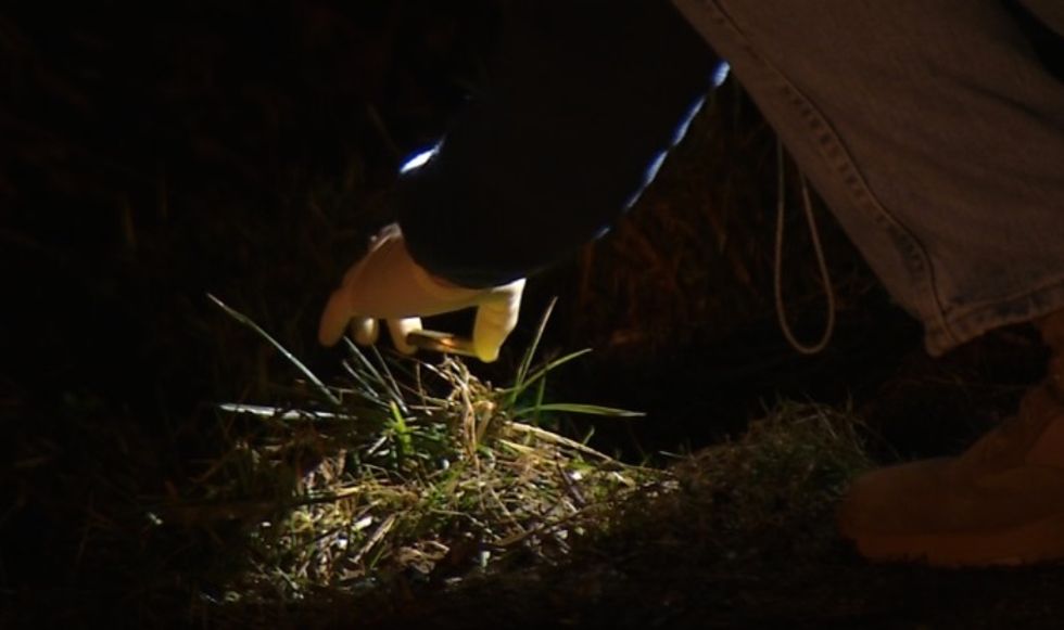 IED Detonated in West Virginia — Here's What We Know So Far