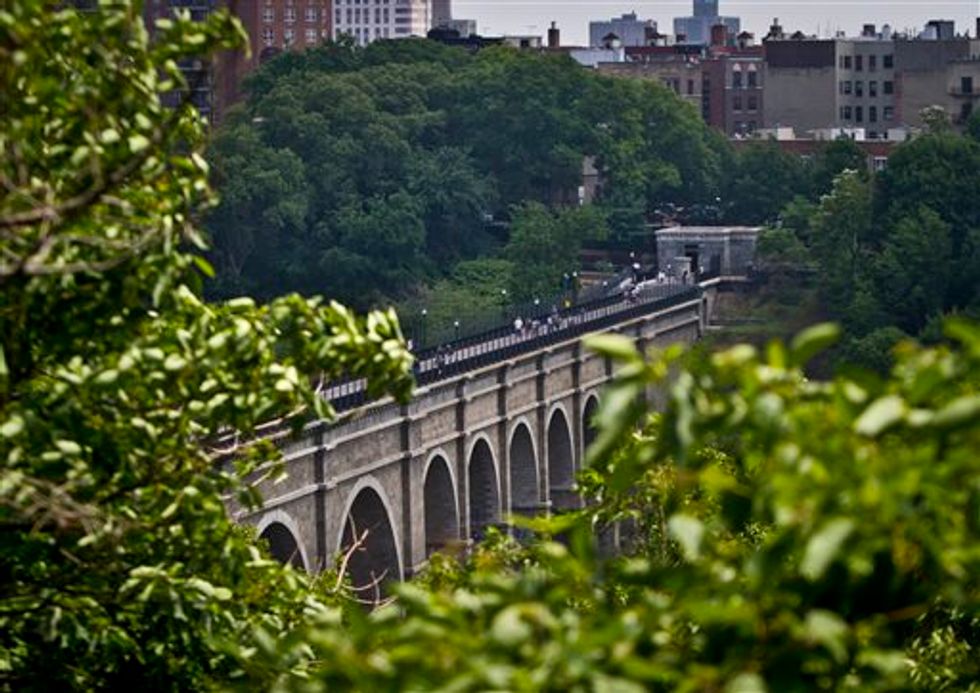 Severed Horse's Head Discovered in Manhattan Park