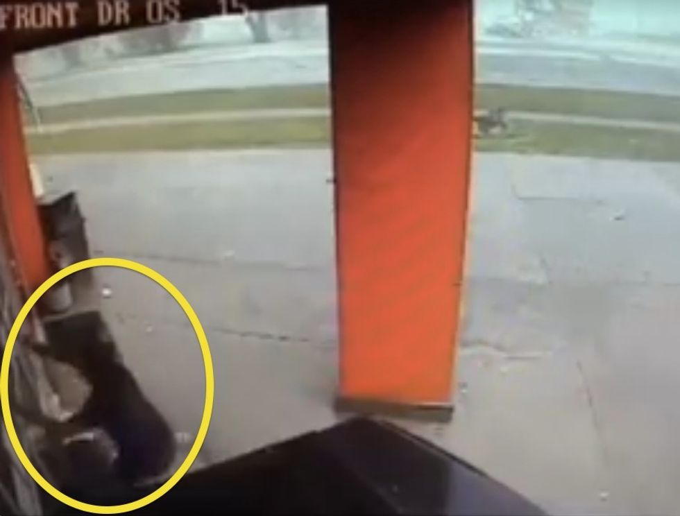 Just Before Tornado Hits, FedEx Driver Runs From Truck and Ducks Behind Coke Machine. Surveillance Video Captures Her Next Terrifying Moments.