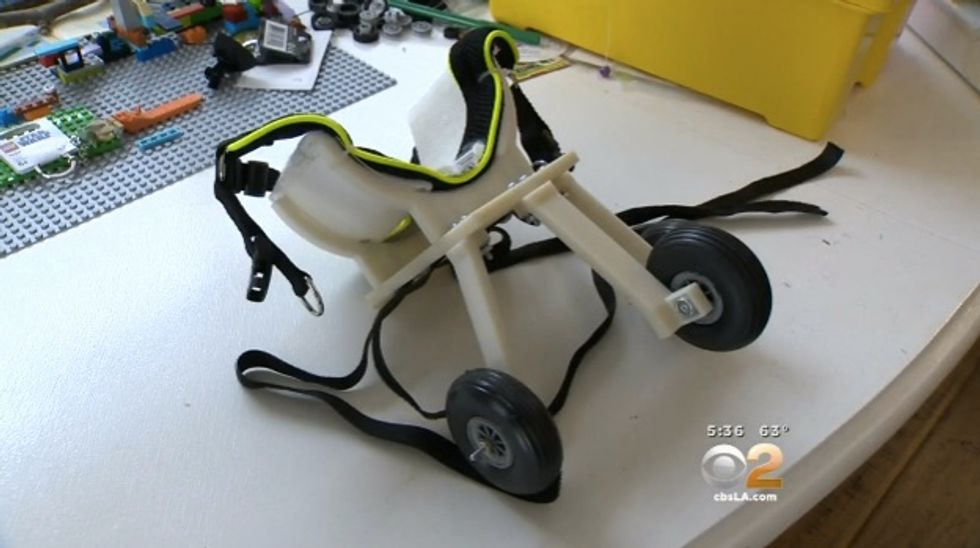 3-D Printer Helps Dog Without Front Legs Get Around Better