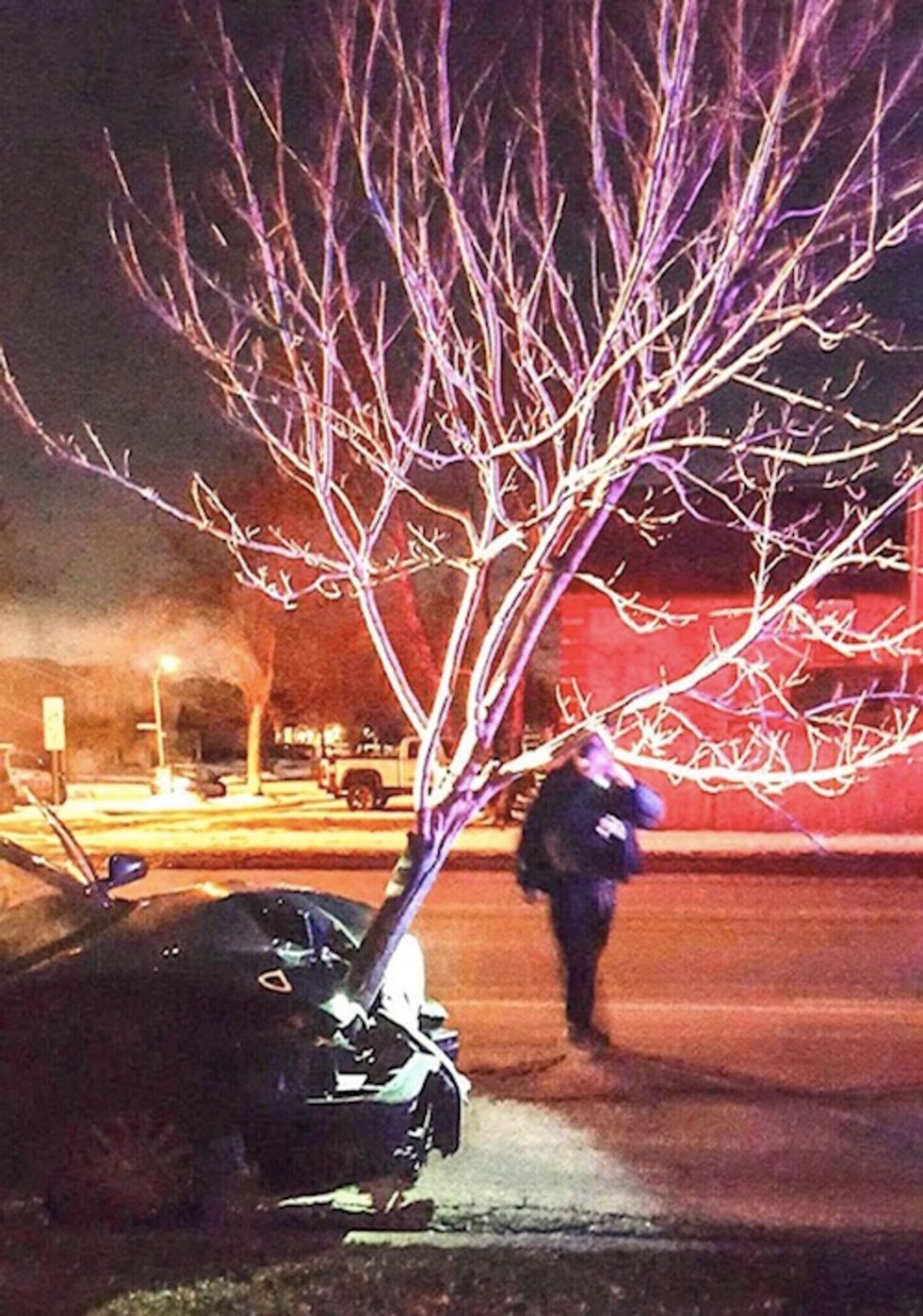 Cop Stops Car Driving With 15-Foot Tree Stuck in Front Bumper (Yes, a DUI Arrest was Made)