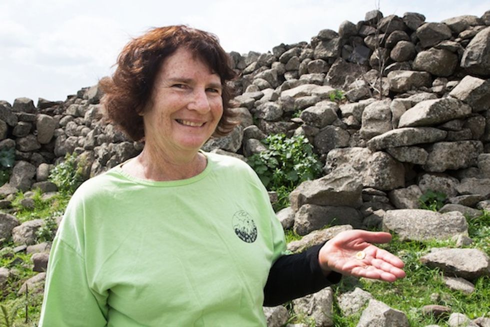 Woman Hiking in Israel’s Galilee Thought She'd Stumbled on a Toy. She Soon Discovered She Had Made a 2,000-Year-Old ‘World Class Find.’