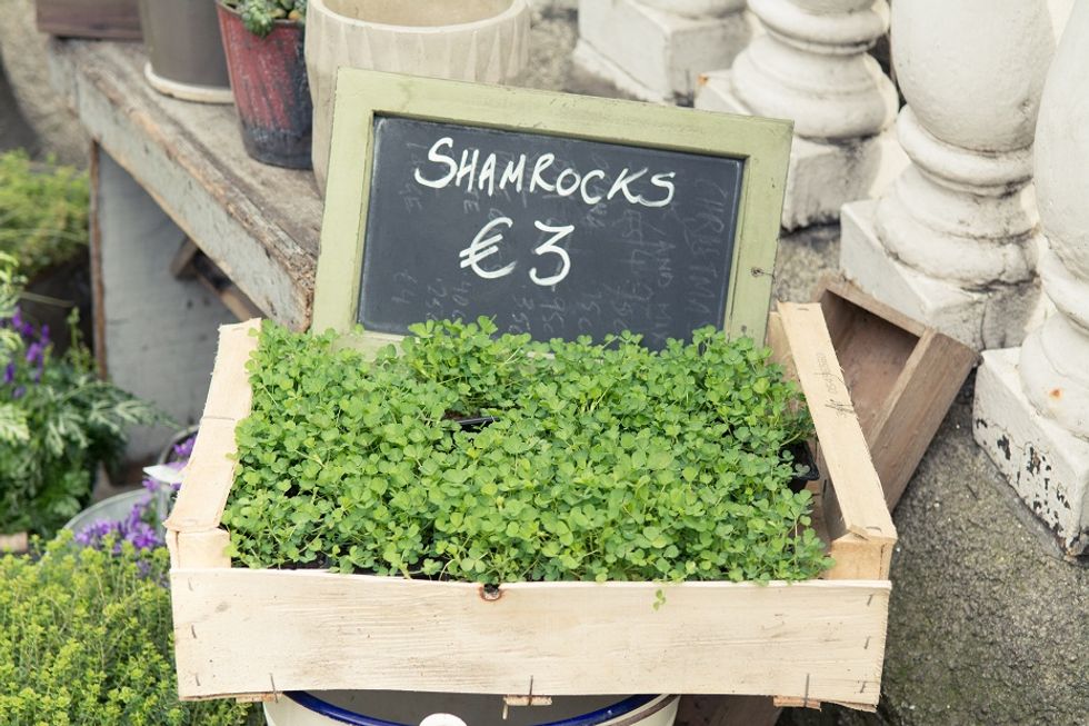 No Irish Snakes — Science or St. Pat?