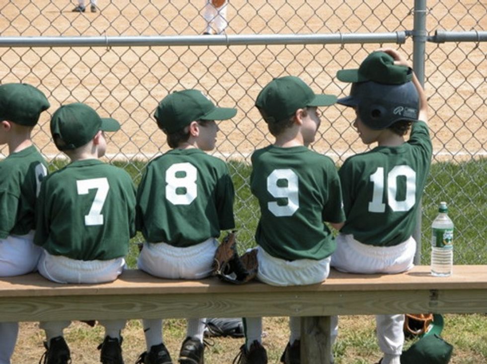 Have You Seen These Pointed Messages for Temperamental Adults Posted at Little League Ballfields in Your Town?