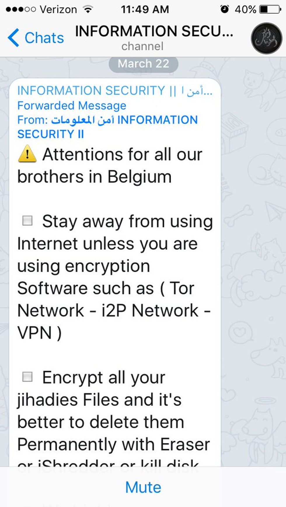Islamic State 'Tech Team' Issued Advice to 'Brothers' in Belgium in the Wake of Brussels Attacks