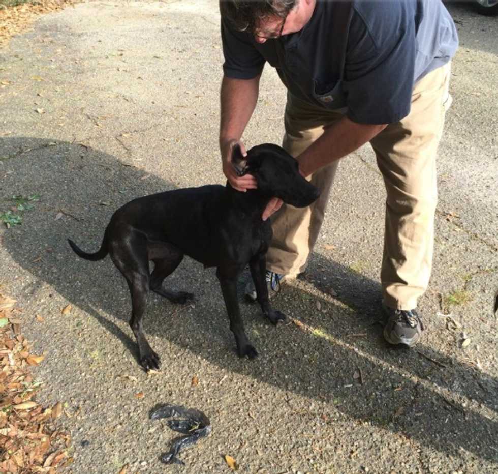 Mississippi Dog Brings Home Bag of Marijuana