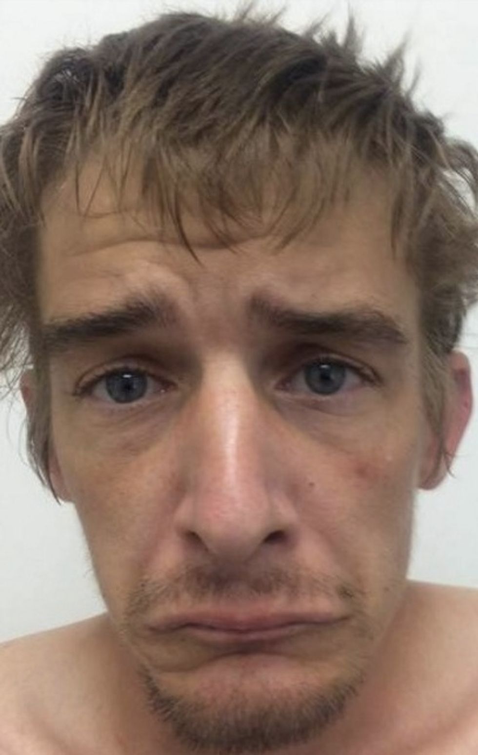 Police on Drug Raid Catch Suspect After Hearing His Snores — but His Hideout Is the Best Part