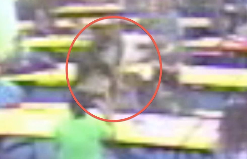 Ex-School Employee Who Punched 11-Year-Old With Autism Says Boy Punched Him First: 'Who Gets Hit and Doesn’t Respond?\