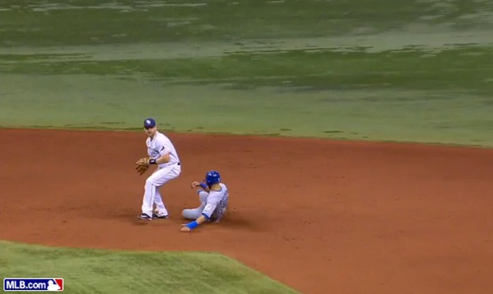 Flat Out Embarrassing': Blue Jays Coach Infuriated After New MLB Rule Costs Team Game in 9th Inning