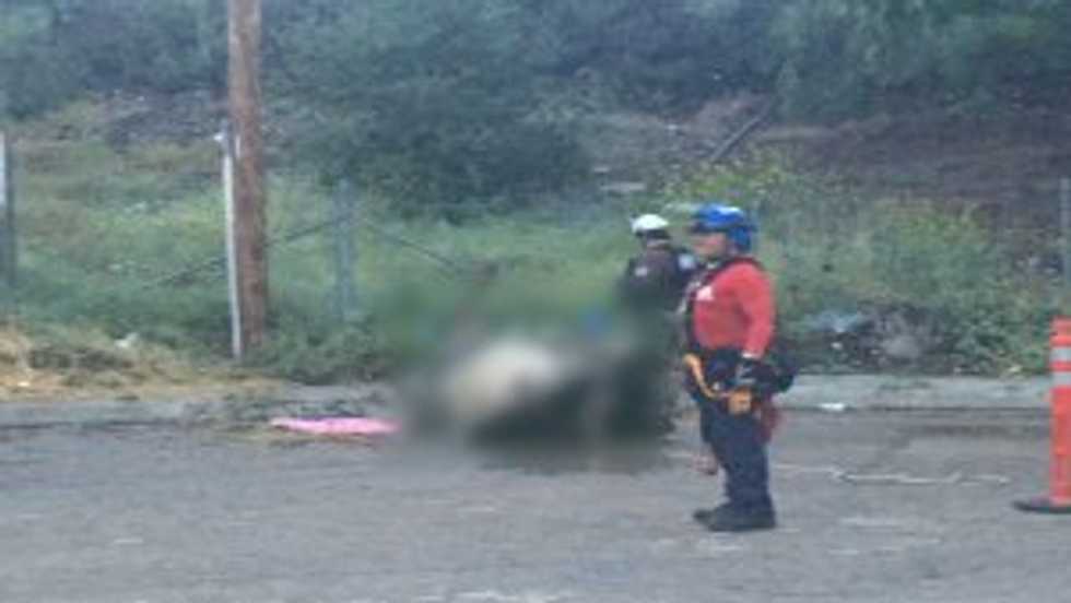 Dead Horse Found Along Road With Tail Tied to Pole — and Police Say Evidence Recovered From Scene of Brutal Attack Could Lead to Suspect