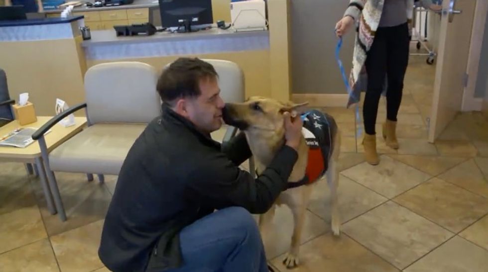 Watch the Moment a Marine Vet Is Reunited With Service Dog After Thinking He Lost His 'Battle Buddy
